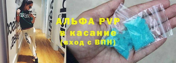 индика Арсеньев