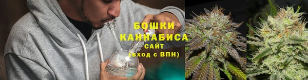 индика Арсеньев