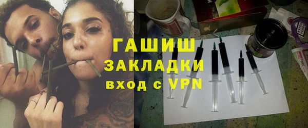 индика Арсеньев