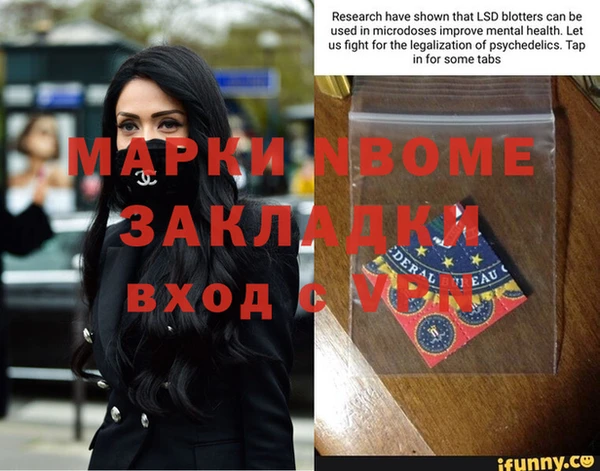 индика Арсеньев