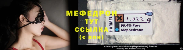 индика Арсеньев