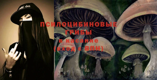 индика Арсеньев