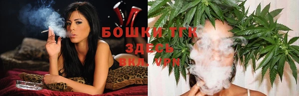 индика Арсеньев